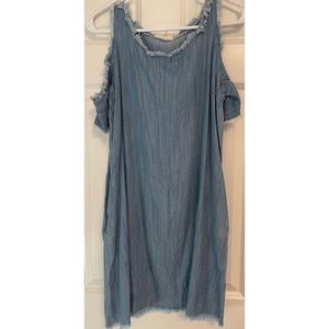 Chambray Dress